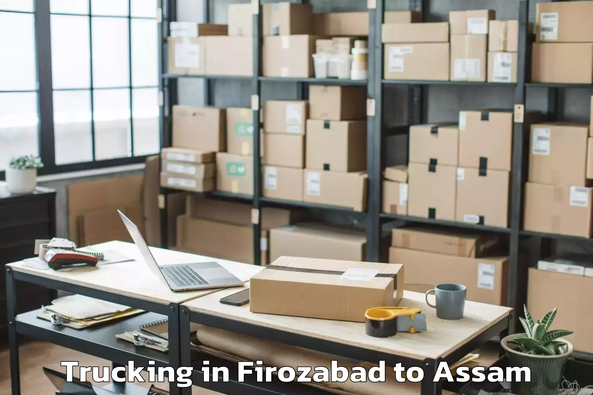 Book Firozabad to Sonari Trucking Online